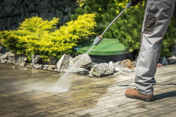 Best Driveway Pressure Washing  in Selma, TX