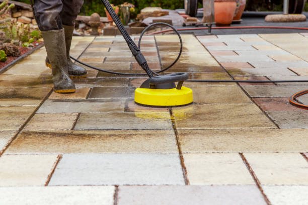 Best Solar Panel Cleaning  in Selma, TX