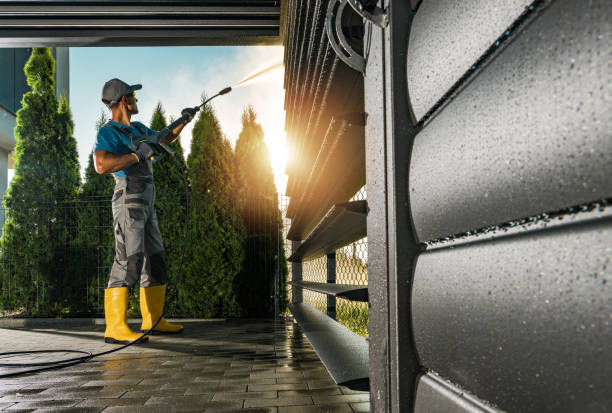 Animal Enclosure Cleaning in Selma, TX